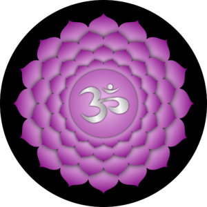 Il settimo chakra, sahasrara